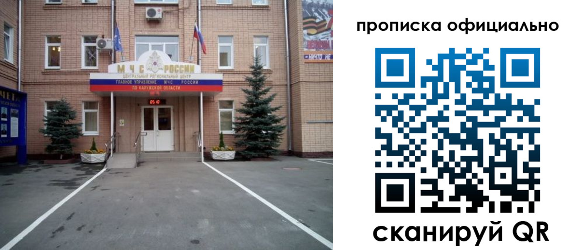прописка для школы в Лосино-Петровском